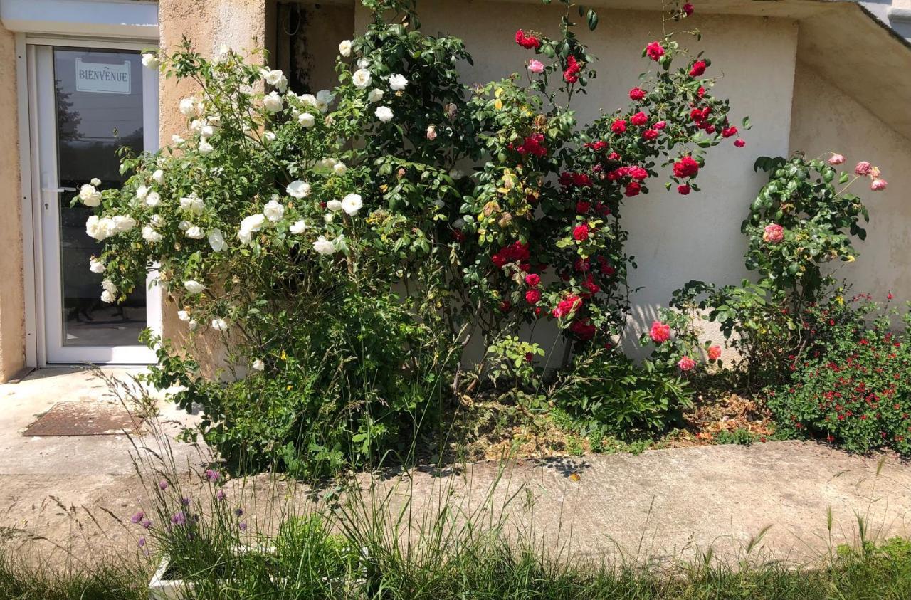 Le Jardin Suspendu Apartment Rillieux-la-Pape Exterior photo